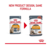 Royal Canin Intense Beauty Wet Cat Food 85g