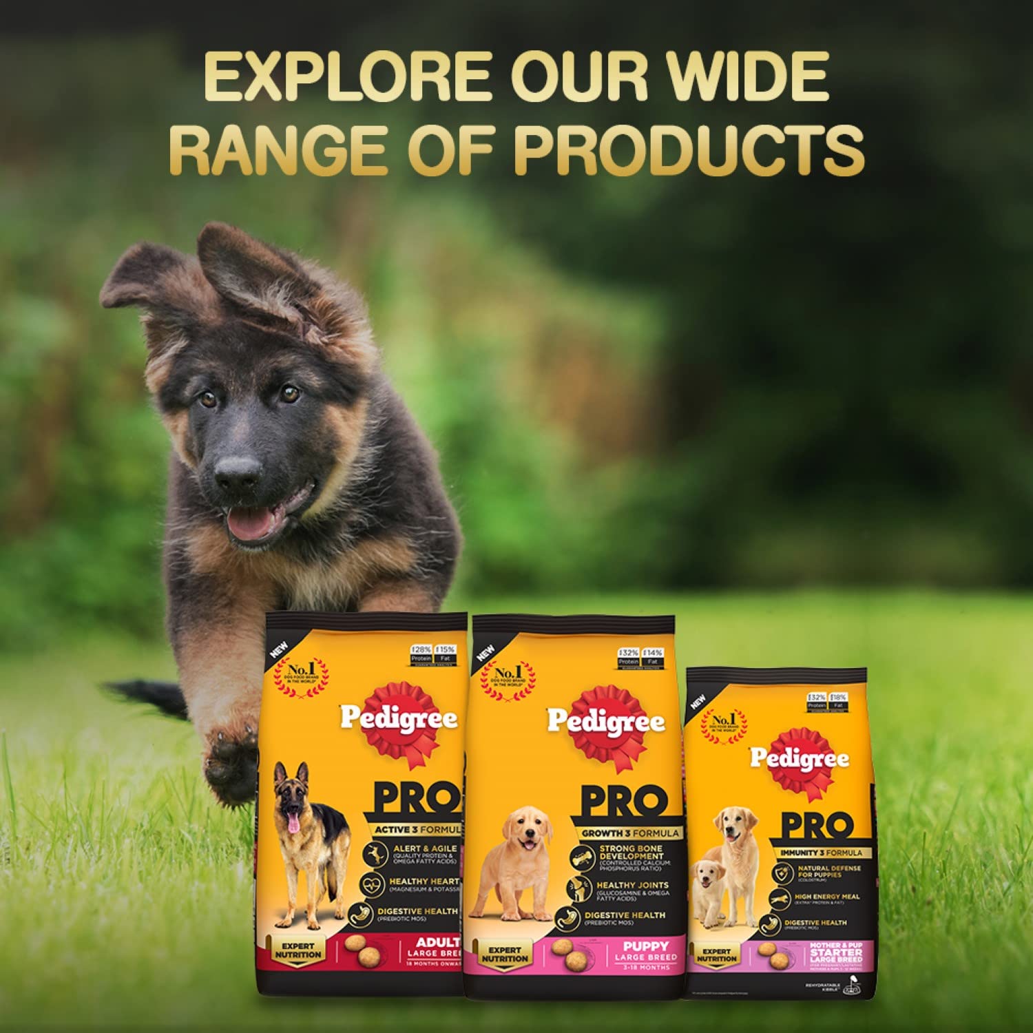 Pedigree Pro Puppy Large Breed - Image 6