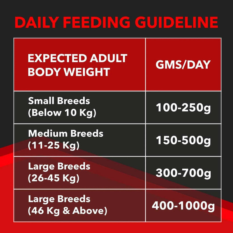 Drools Focus Adult 12kg - Image 4