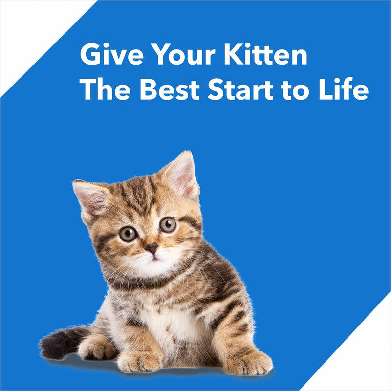 Drools Kitten Ocean Fish 400g - Image 3