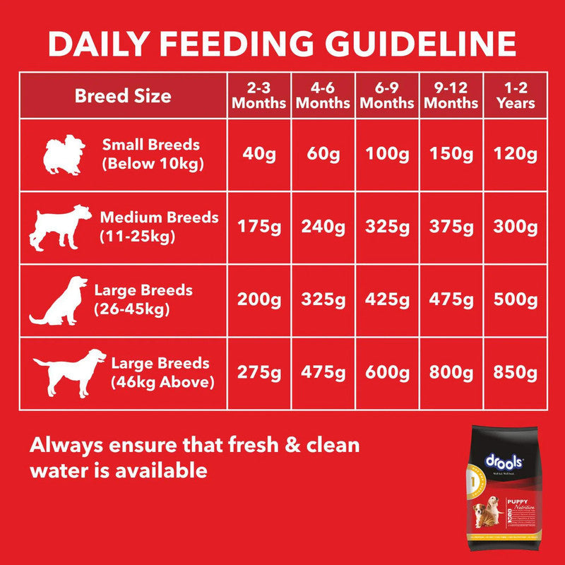 Drools Puppy Chicken and Egg 400g - Image 4