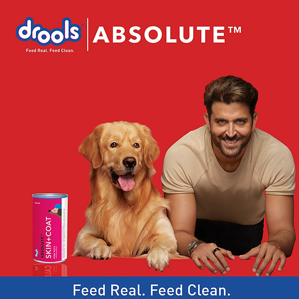 Drools Absolute Skin & Coat Syrup 300ml - Image 3