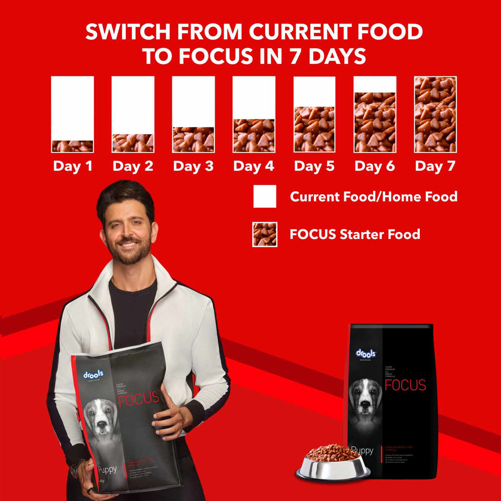Drools Focus Puppy Dry Food - Image 5