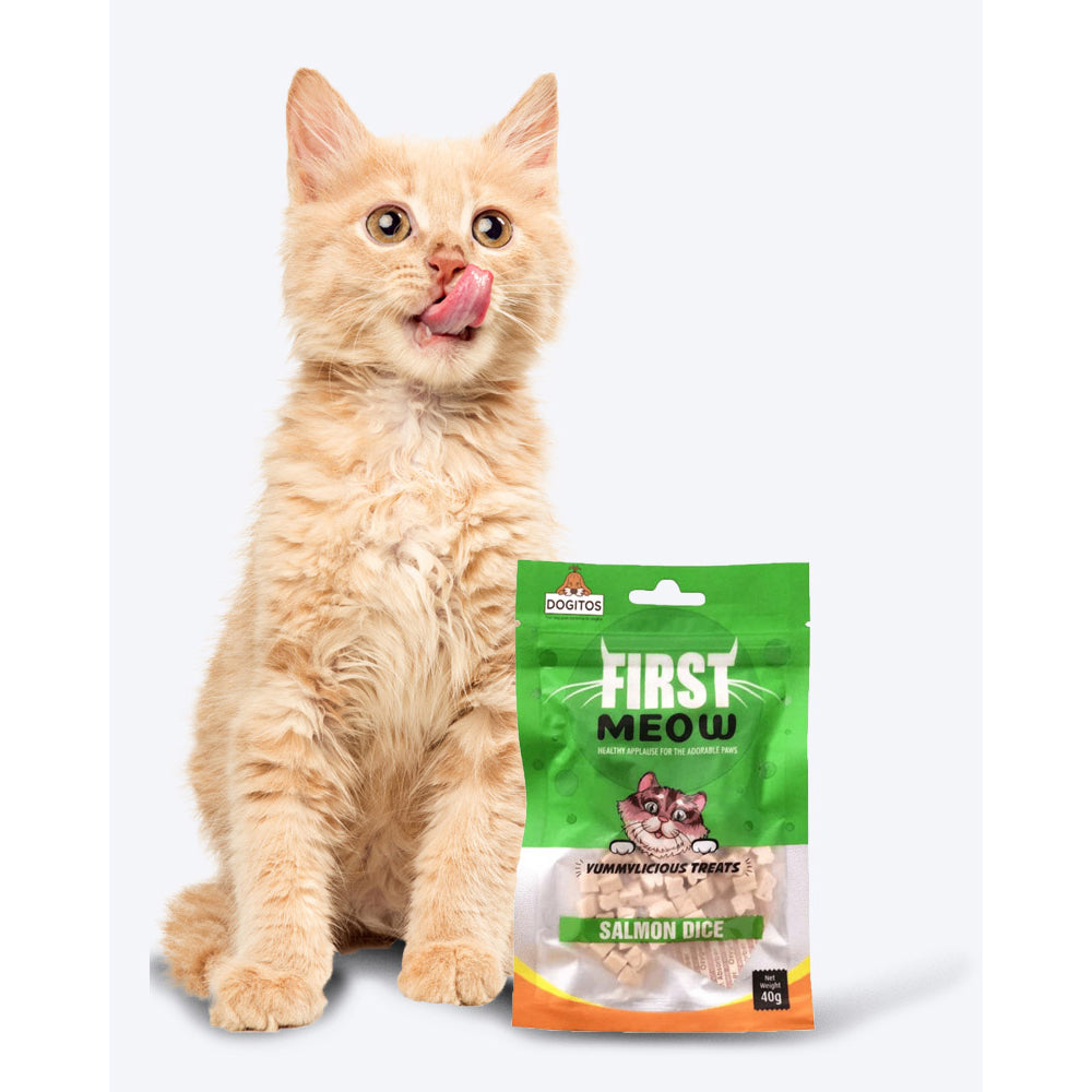 First Meow Salmon Dice 40g - Image 3