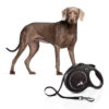 Flexi New Classic Retractable Tape Leash Black 5M L