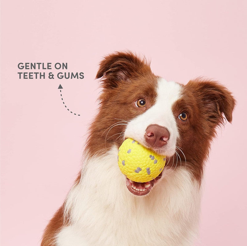 Fofos Super Bounce Ball-S For Dogs - Image 5