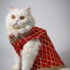 Festive Sherwani -Traditional Ethnic Outfit - Red