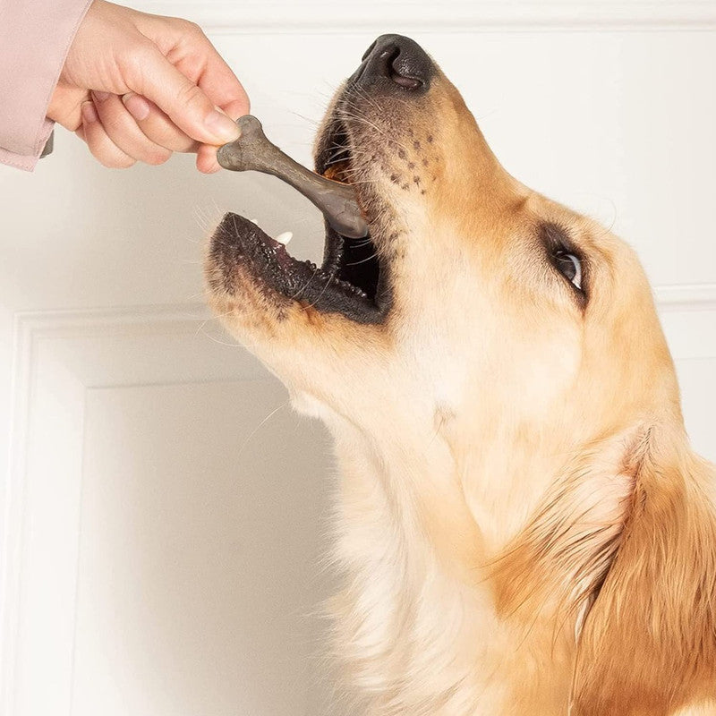 Goofy Tails Active Dental Bones Salmon 200g (Large Dog) - Image 7