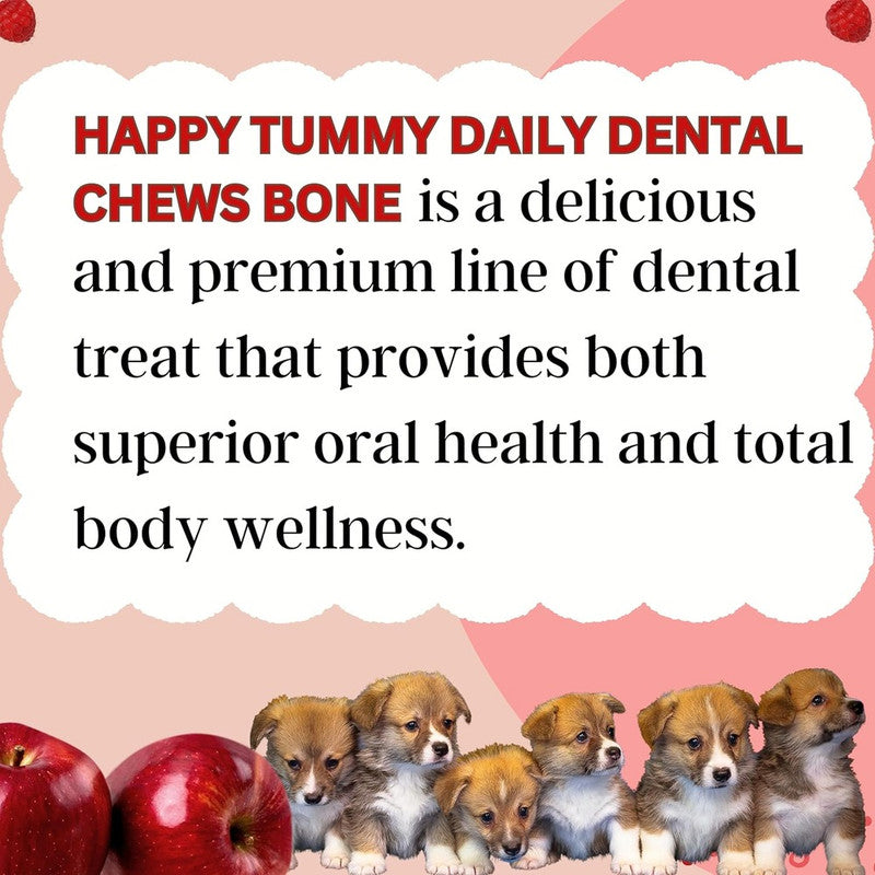 Happy Tummy Apple Dental Chew L 150g - Image 5