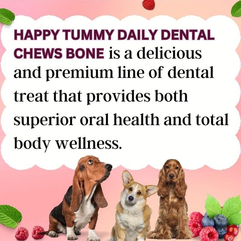 Happy Tummy Berries Dental Chew 21pcs S - Image 5