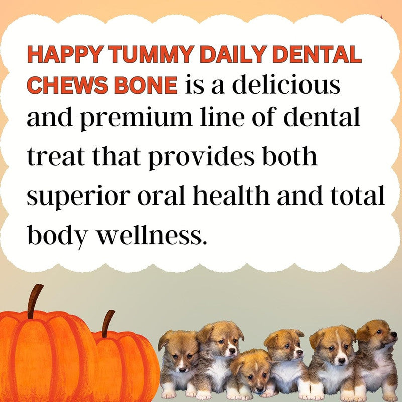 Happy Tummy Pumpkin Dental Chew 21pcs S - Image 6