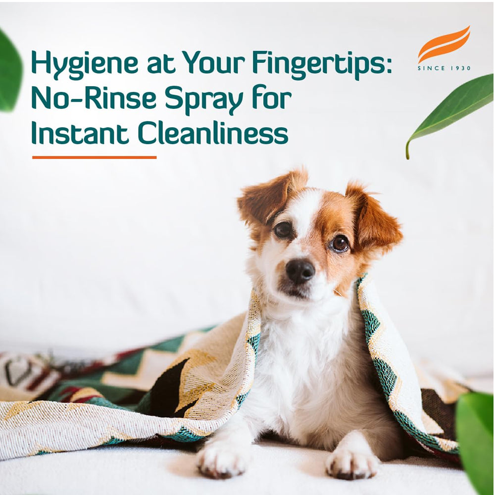 Himalaya Fresh Coat Dry Shampoo - Image 3