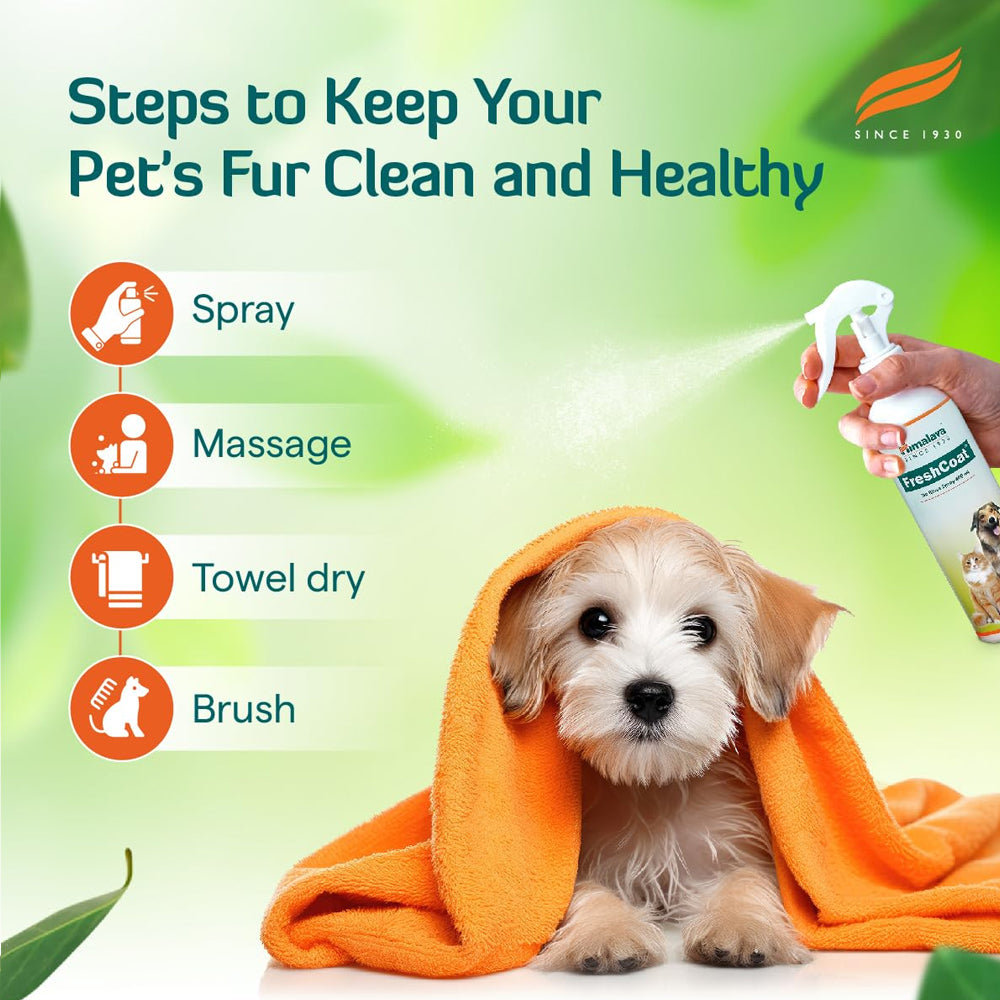 Himalaya Fresh Coat Dry Shampoo - Image 6