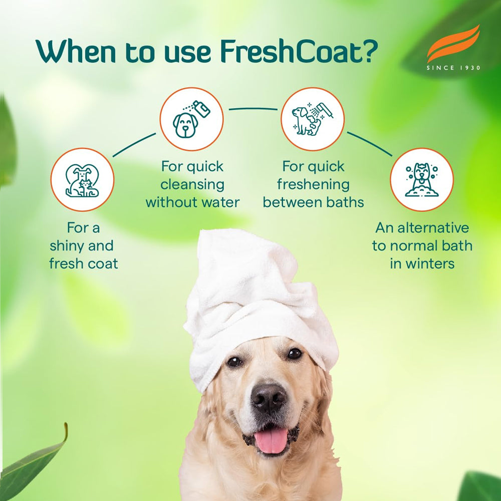 Himalaya Fresh Coat Dry Shampoo - Image 7