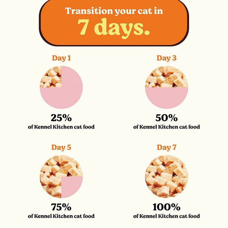 Kennel Kitchen Adult Cat n Kitten Fish chunks In Gravy 80g - Image 6