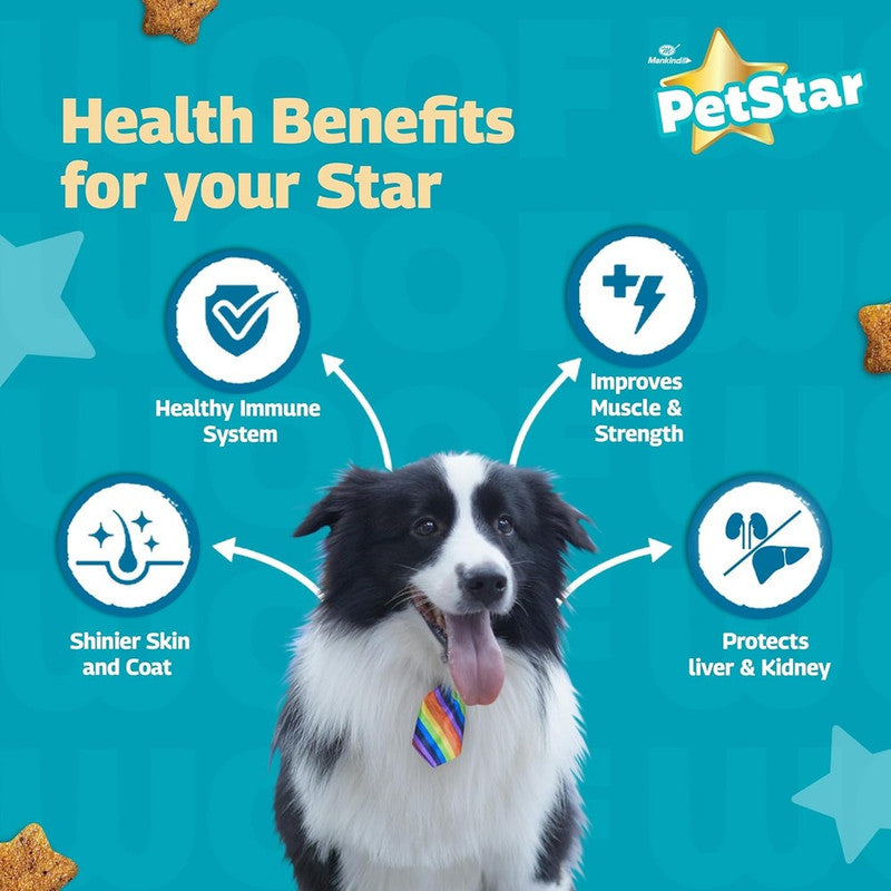 PetStar Adult Dog Chicken n Wheat 1kg + 1kg - Image 2