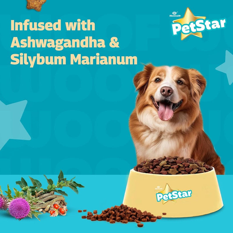 PetStar Adult Dog Chicken n Wheat 1kg + 1kg - Image 3