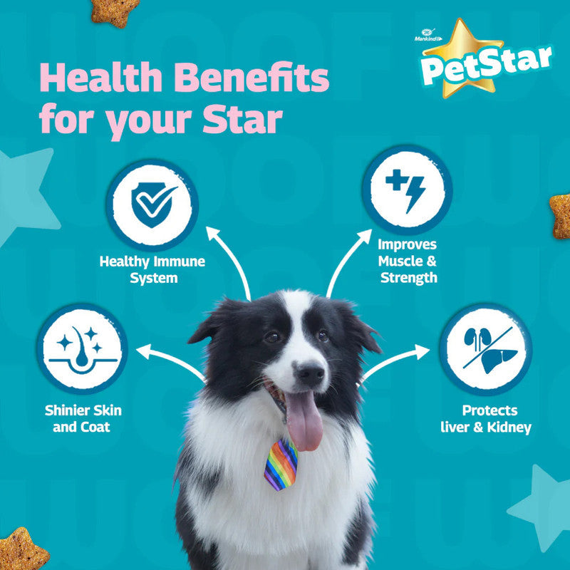 PetStar Adult Dog Meat n Wheat 3kg + 3kg - Image 2
