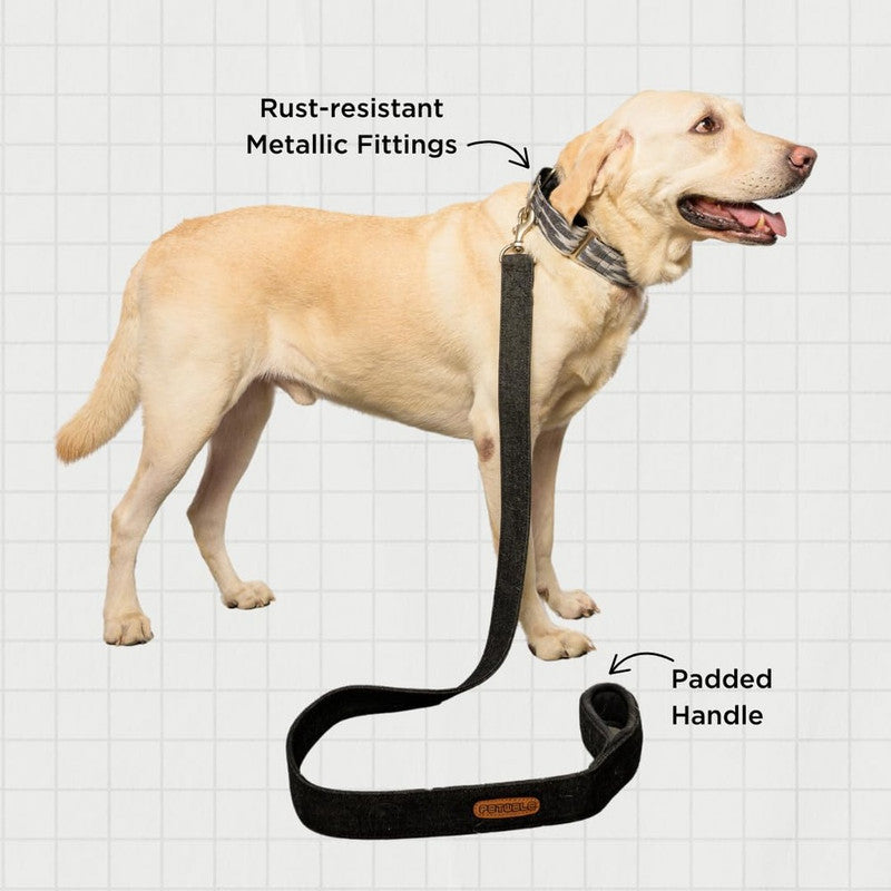 PetWale Black Denim Leash with Padded Handle (Medium) - Image 4