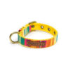 PetWale Colourful Stripes Belt Collar (Medium)