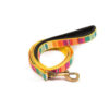 PetWale Colourful Stripes Leash with Padded Handle (Medium)