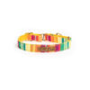 PetWale Colourful Stripes Martingale Collar (Large)