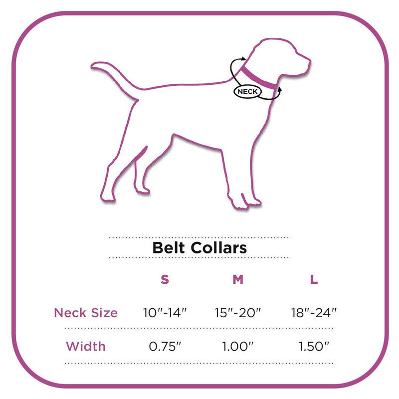 PetWale Ikat Belt Collar (Small) - Image 5