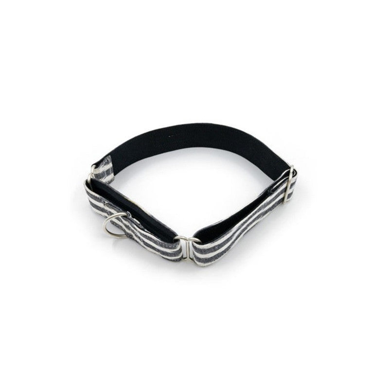 PetWale Ikat Martingale Collar (Small) - Image 3