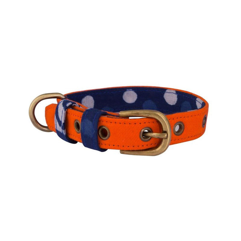 PetWale Orange Belt Collar (Small) - Image 2