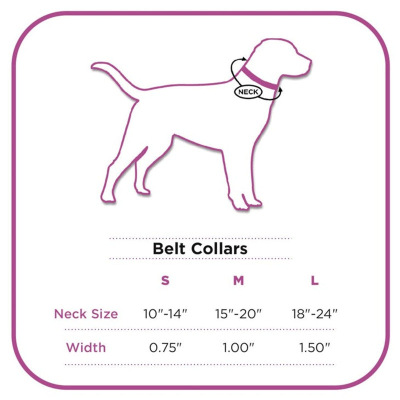 PetWale Reflective Green Belt Collar (Medium) - Image 7