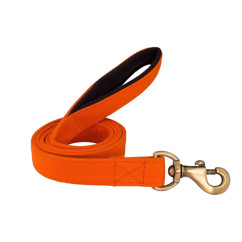 PetWale Orange Leash with Padded Handle (Medium)