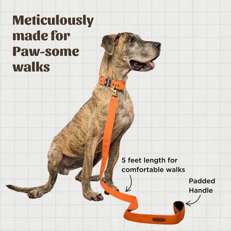PetWale Orange Leash with Padded Handle (Small) - Image 4
