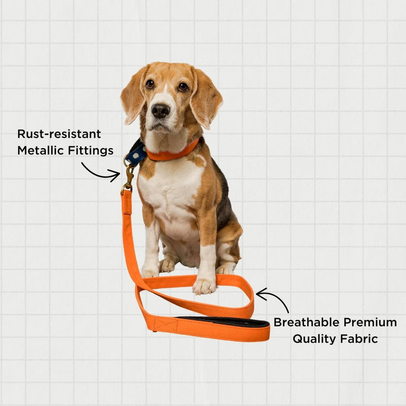 PetWale Orange Leash with Padded Handle (Small) - Image 3