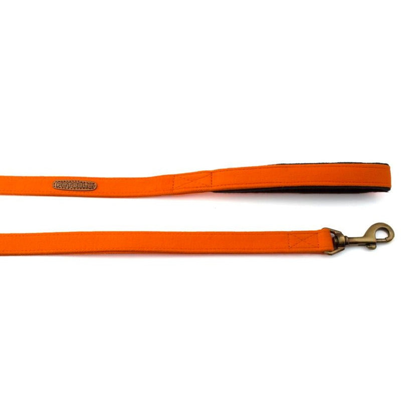 PetWale Orange Leash with Padded Handle (Small) - Image 2
