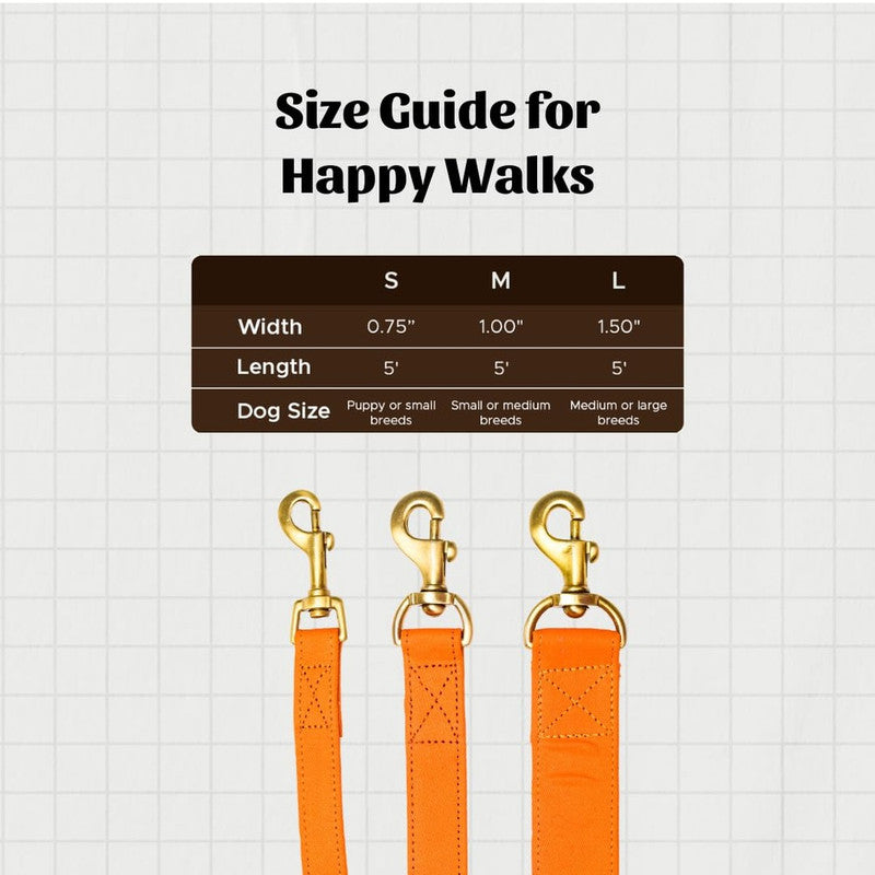 PetWale Orange Leash with Padded Handle (Small) - Image 5