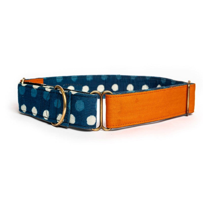 PetWale Orange Martingale Collar (Medium) - Image 2