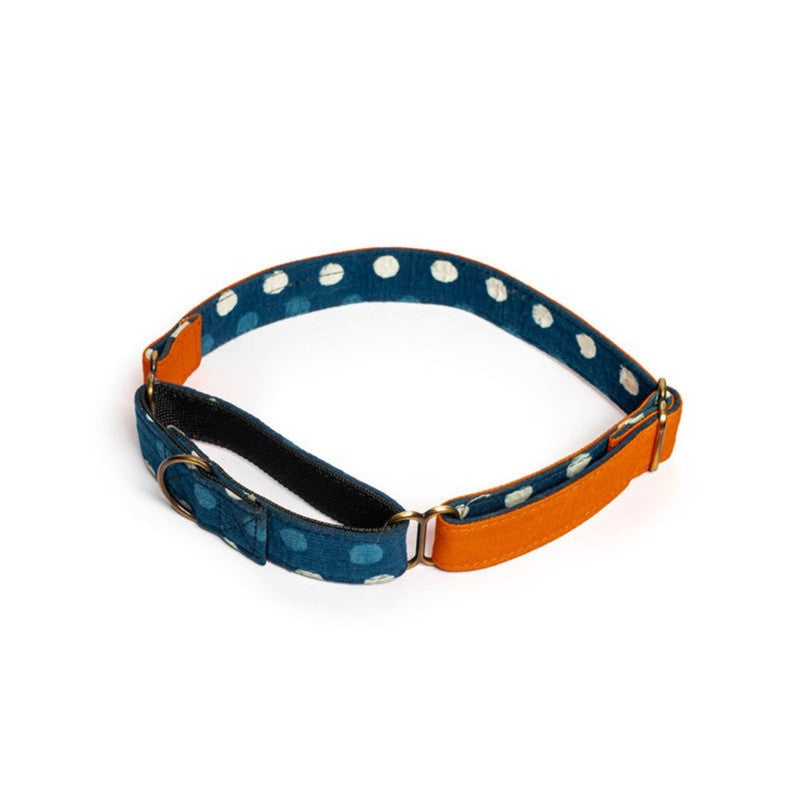 PetWale Orange Martingale Collar (Large) - Image 4