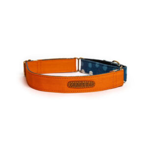 PetWale Orange Martingale Collar (Large)