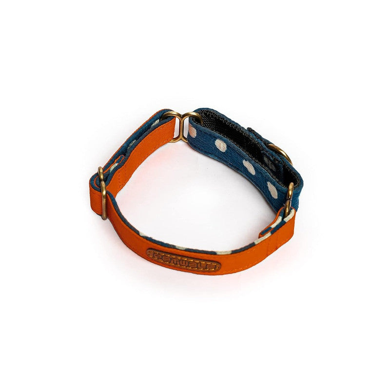 PetWale Orange Martingale Collar (Large) - Image 5