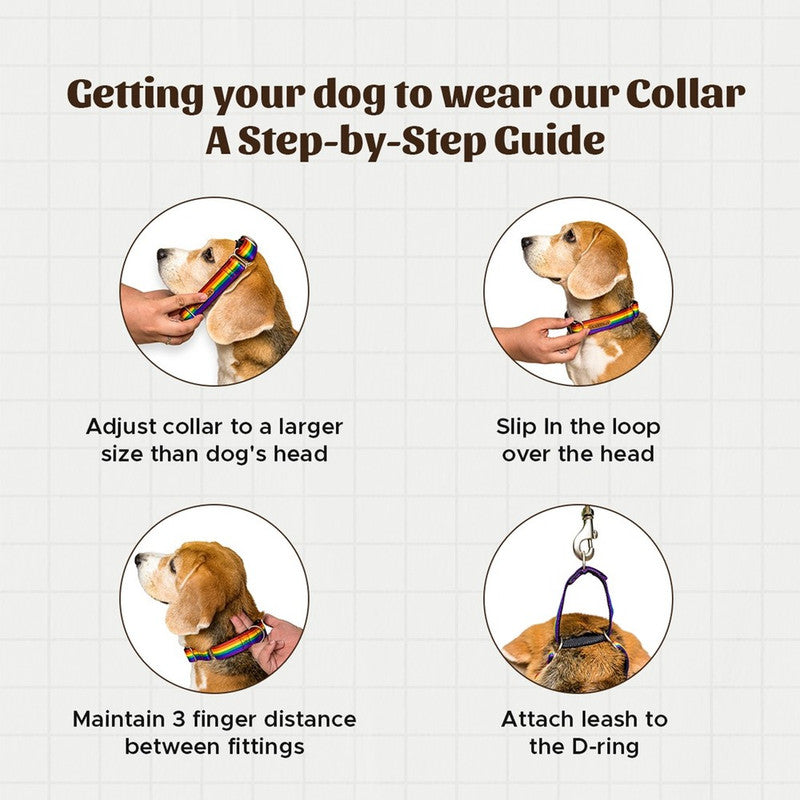 PetWale Orange Martingale Collar (Small) - Image 9