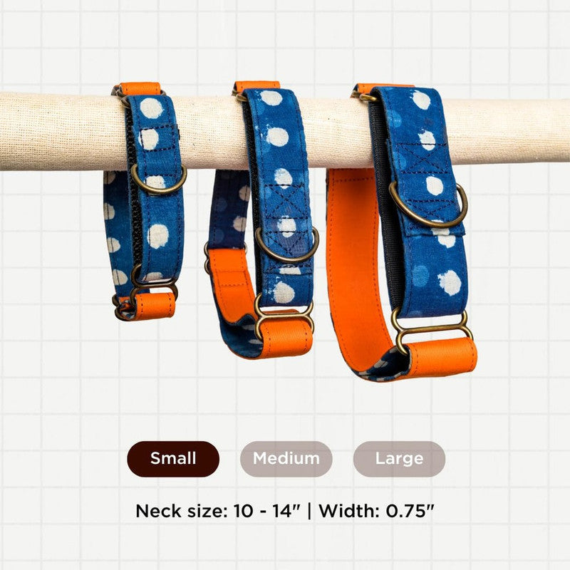 PetWale Orange Martingale Collar (Small) - Image 11