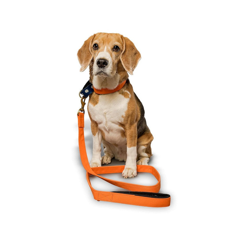 PetWale Orange Martingale Collar (Small) - Image 7