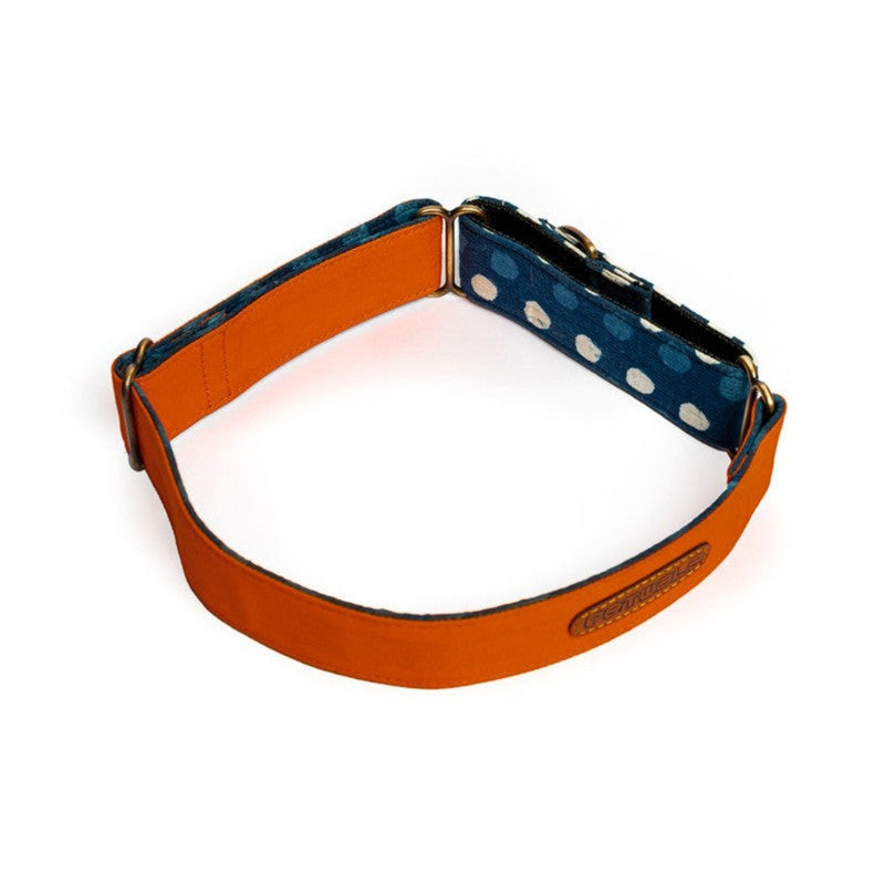 PetWale Orange Martingale Collar (Large) - Image 3