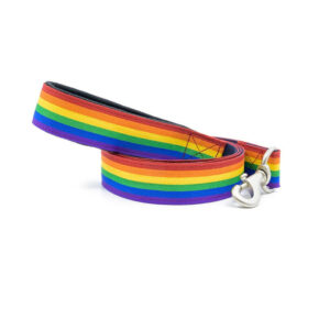 PetWale Rainbow Pride Leash with Padded Handle - S