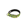 PetWale Reflective Green Belt Collar (Medium)