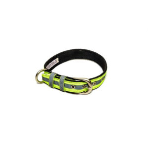 PetWale Reflective Green Belt Collar (Medium)