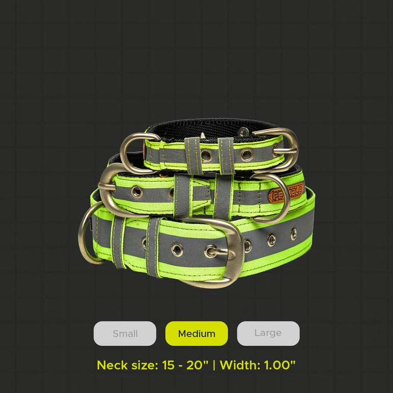 PetWale Reflective Green Belt Collar (Medium) - Image 6