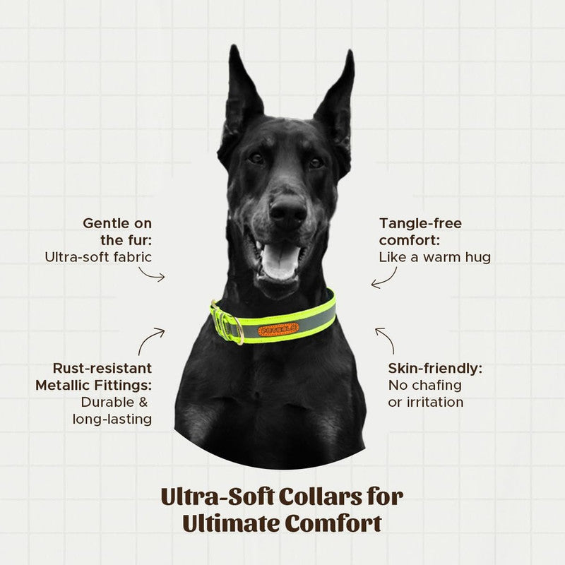 PetWale Reflective Green Belt Collar (Medium) - Image 2