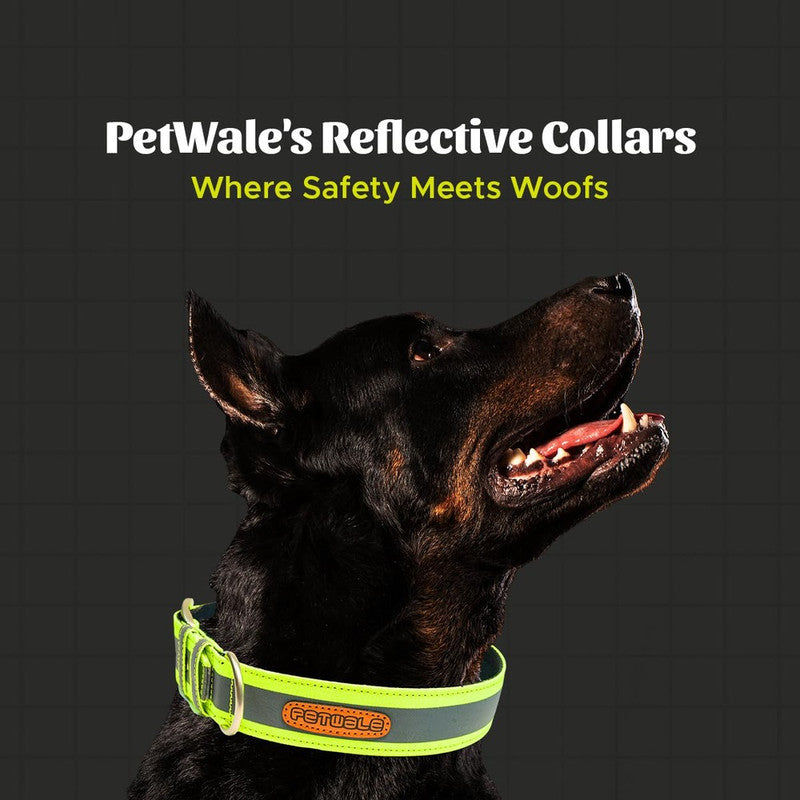 PetWale Reflective Green Belt Collar (Medium) - Image 5