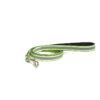PetWale Reflective Green Leash with Padded Handle (Small)
